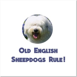 Old English Sheepdogs Rule! Posters and Art